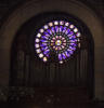 Fensterrosette in der Madeleine-Kirche