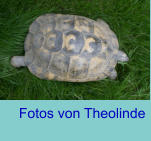 Fotos von Theolinde