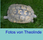 Fotos von Theolinde